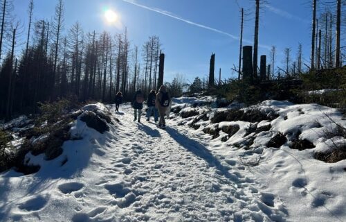 Landheim Harz VIII-min