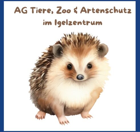 Zoo-AG zu Besuch im Igelzentrum Laatzen